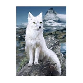 3D Picture 9809--White Fox