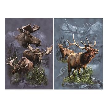 3D Picture 9812--Moose/Elk