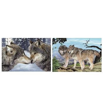 3D Picture 9816--Pair of Wolves