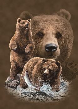 3D Picture 9818--Bear