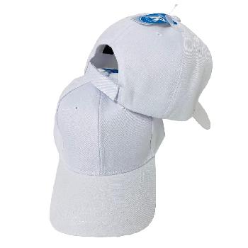 Solid White Ball Cap - Solid Color Only