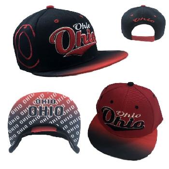 Snap Back Flat Bill-OHIO [Fade Top/Printed Bottom Bill]