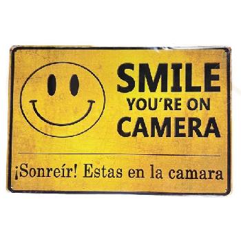 11.75"x8" Metal Sign- Smile: You're On Camera