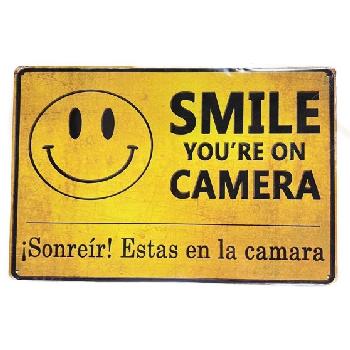 11.75"x8" Metal Sign- Smile: You're On Camera