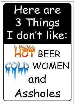 11.75"x8" Metal Sign- Here Are 3 Things I Don't Like...