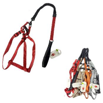 Harness and Shock-Absorbing Leash Set [Small/Medium]