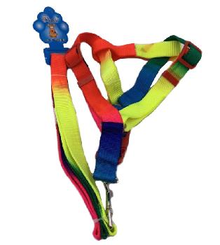 Rainbow Dog Harness with 48" Leash [Medium-Wide]