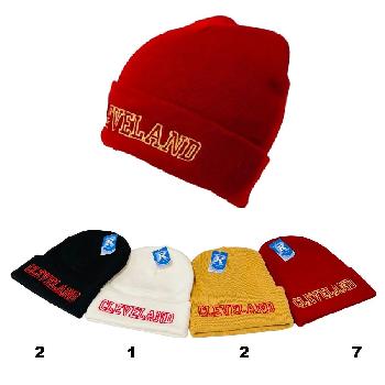 Cuffed Knit Toboggan [CLEVELAND W/G]